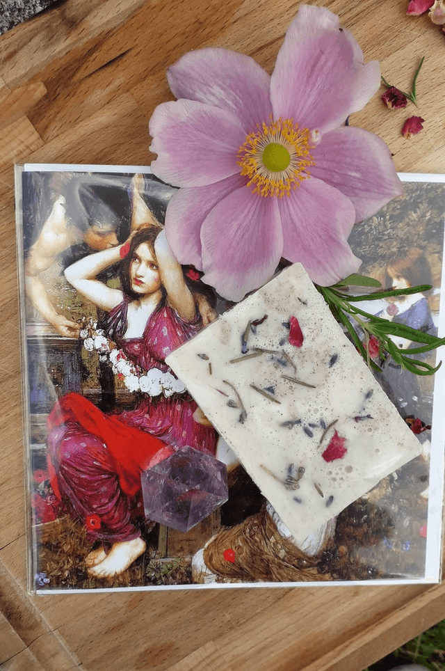 SHAMPOO BAR BOXES